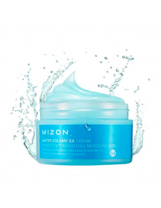 MIZON Gel Visage Hydratant Water Volume Ex Cream 100ml